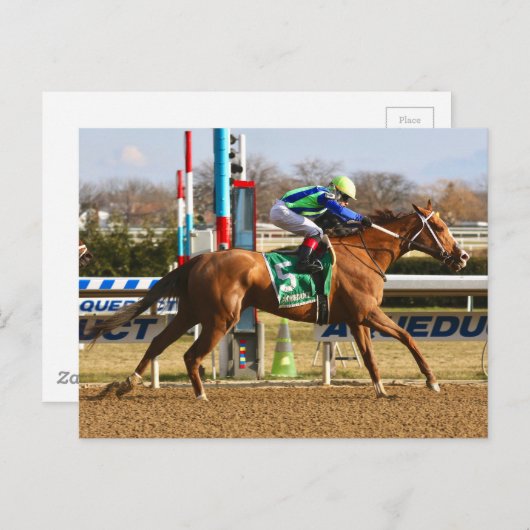 Vertikaleiche Postkarte (Vorne/Hinten)