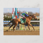 Vertikaleiche Postkarte (Vorderseite)