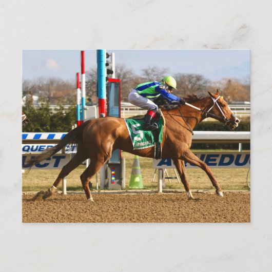 Vertikaleiche Postkarte (Vorderseite)