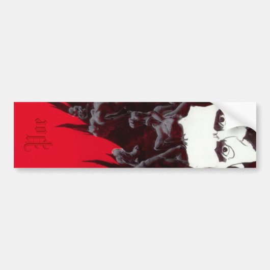 Vertikaler Aufkleber Poe - begrenzt Autoaufkleber (Vorne)