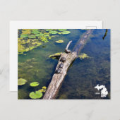 Vertikales Logo des Lake Erie Metropark Turtle Log Postkarte (Vorne/Hinten)