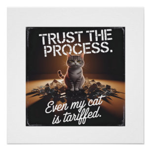 Vertrau dem Prozess Katze Büro Humor Meme Poster