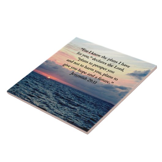 VERTRAUEN IM JEREMIAH 29:11 SONNENVERSE FLIESE (Seite)