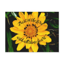 Vertrauen im Lord Bright Yellow Flower