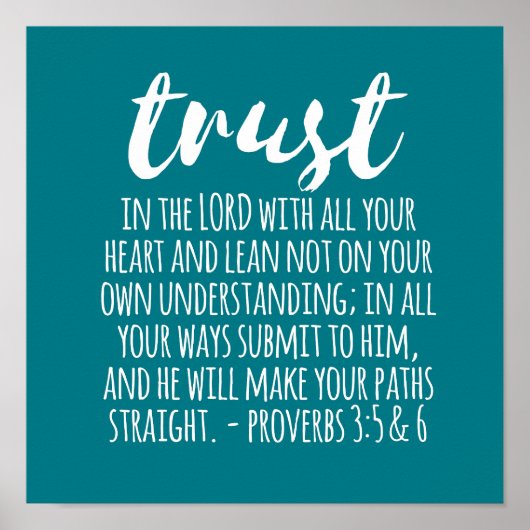 Vertrauen in die Lord Proverbs 3:5-6 Poster (Vorne)