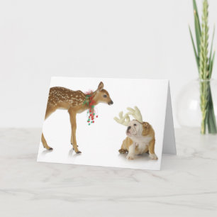 VERTRAUEN MIT BULL DOG MERRY CHRISTMAS CARD KARTE