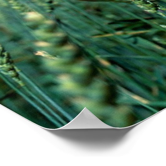 Vertrauen Poster (Ecke)