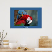 Vertrauen Poster (Küche)