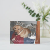 Vertrauen Postkarte (Stehend Vorderseite)