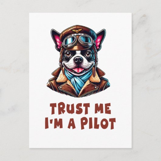 Vertrauen Sie mir, ich bin Pilot Postkarte (Vorderseite)