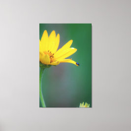 Vertrauensvorschuss Leinwanddruck