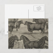Vertreter von Kansas Postkarte (Vorne/Hinten)