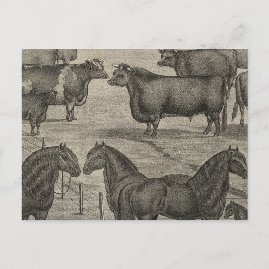 Vertreter von Kansas Postkarte (Vorderseite)