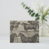 Vertreter von Kansas Postkarte (Stehend Vorderseite)