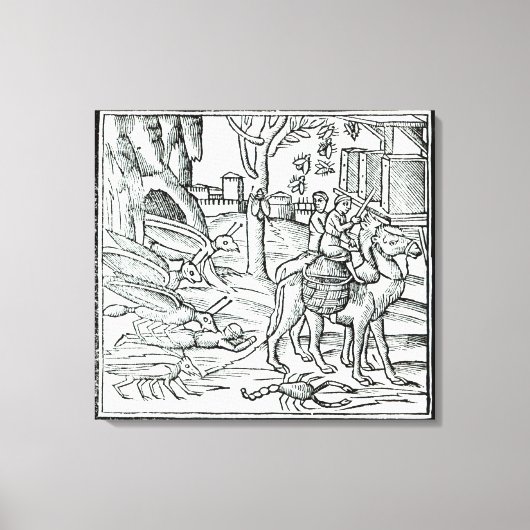 Vertretung der Pest, 1572 Leinwanddruck (Vorderseite)