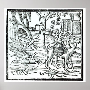 Vertretung der Pest, 1572 Poster