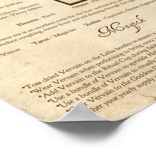 VERVAIN MAGICK HERB POSTER (Ecke)