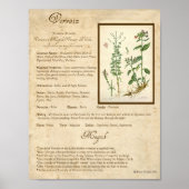 VERVAIN MAGICK HERB POSTER (Vorne)
