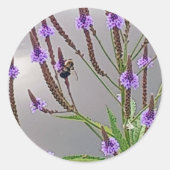 Vervain Sticker (Vorderseite)