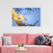 Vervet Affe auf Baumzweig, Serengeti Leinwanddruck (Insitu (Wohnzimmer))