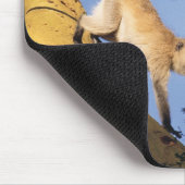 Vervet Affe auf Baumzweig, Serengeti Mousepad (Ecke)