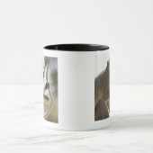 Vervet Affe, der Schwanz hält Tasse (Zentrum)