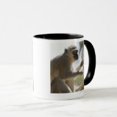 Vervet Affe, der Schwanz hält Tasse (VorderseiteRechts)