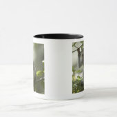 Vervet Affe, Simbabwe Tasse (Zentrum)