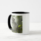 Vervet Affe, Simbabwe Tasse (Vorderseite Links)