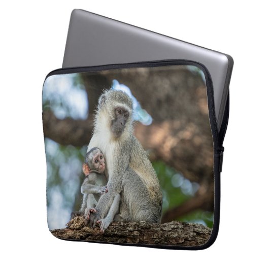 Vervet Monkey in African Wildlife Laptopschutzhülle (Vorderseite Links)