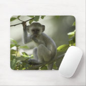 Vervet Monkey, Simbabwe Mousepad (Mit Mouse)