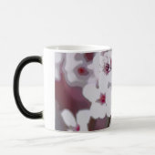 verwandelnde Tasse (Links)