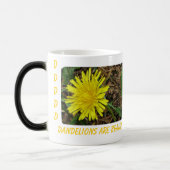 Verwandelnde Tasse Löwenzahn (Links)
