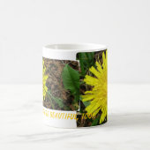 Verwandelnde Tasse Löwenzahn (Mittel)