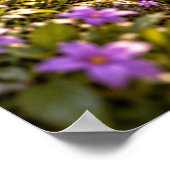 Verwandte Blüten Poster (Ecke)
