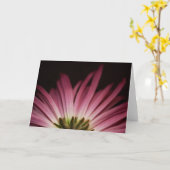 Verwelktes lila Gänseblümchen Karte (Gelbe Blume)
