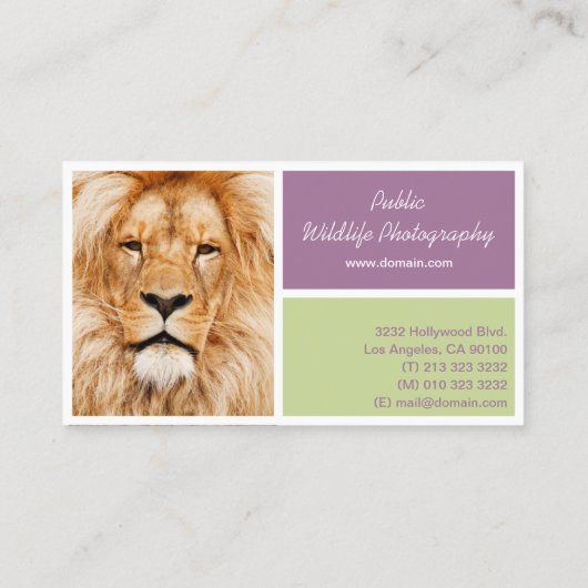 Verwenden Sie Ihre eigene Fotografie Visitenkarte (Rückseite)