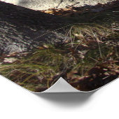 Verwenden Sie Ihren Kopf Babson Boulder Poster (Ecke)