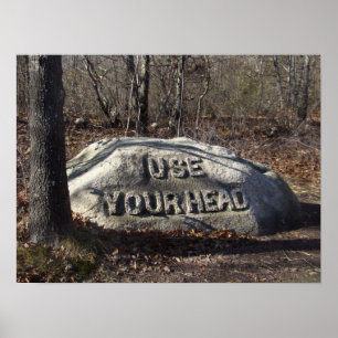 Verwenden Sie Ihren Kopf Babson Boulder Poster