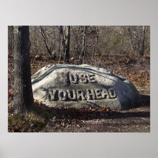 Verwenden Sie Ihren Kopf Babson Boulder Poster (Vorne)