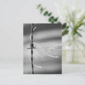 Verwickelte Threads - Standdraht-Lebensfotografie Postkarte (Stehend Vorderseite)