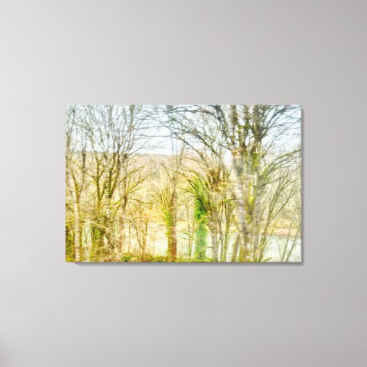 verwinkelte Waldlandschaft mit Fluss Leinwanddruck (Vorderseite)