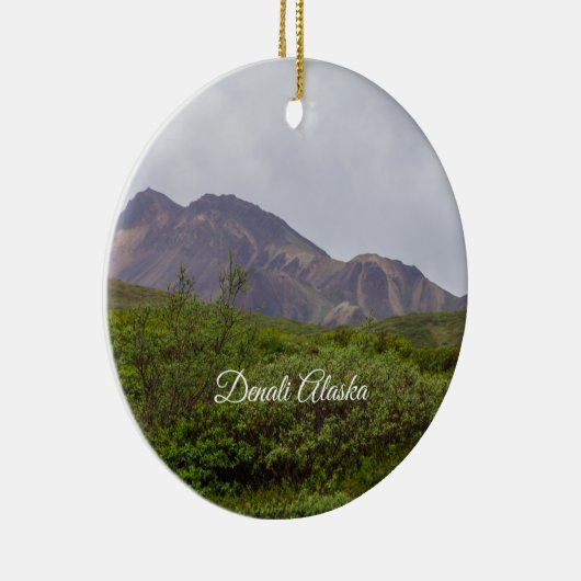 Verwirbelte Schönheit im Denali Ornament Souvenir (Rechts)