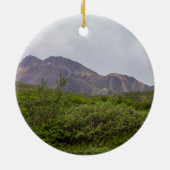 Verwirbelte Schönheit im Denali Ornament Souvenir (Hinten)