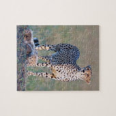 Verwirren Sie 10x8 110 Stücke - Gepard und Junge Puzzle (Horizontal)