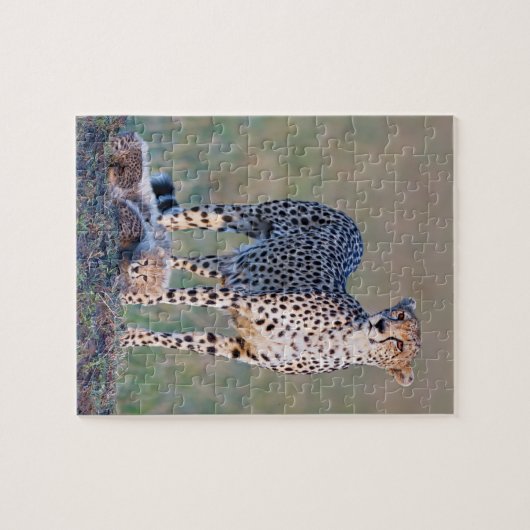 Verwirren Sie 10x8 110 Stücke - Gepard und Junge Puzzle (Horizontal)