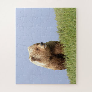 Verwirren Sie 16x20 "56 übergroße Stücke" des Puzzle