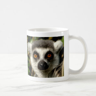 Verwirrte Lemur-Tasse Kaffeetasse