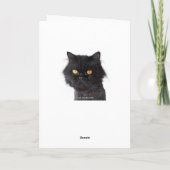 Verwirrte schwarze persische Katze Happy Birthday Karte (Rückseite)