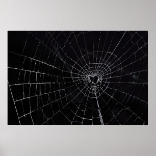 Verwirrtes Netz Poster